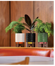Load image into Gallery viewer, ORLA KIELY CERAMIC PLANT POT ON WOODEN STAND - 60&#39;S STEM - Slate
