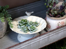 Load image into Gallery viewer, Birdbath on Foot in Antique Cream
