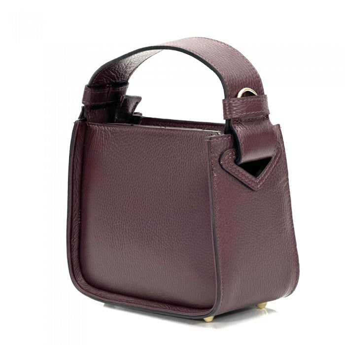 Alice Bordeaux Leather Handbag