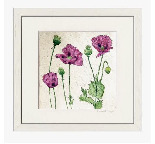 Annabel Langrish - Poppies (mini framed)