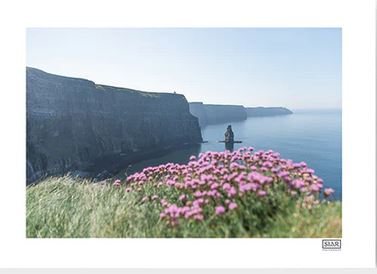 Cliffs of Moher Sea Pinks | Clare | Ireland - Framed A4 Print