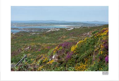 The Sky Road | Clifden | County Galway - Framed A4 Print