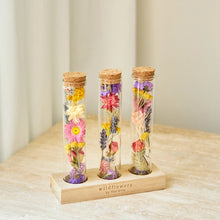 Load image into Gallery viewer, Spring Whispers - Dried Flowers - Message in A Box
