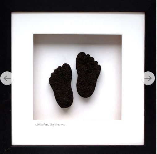 Bog Buddies - Little Feet Big Dreams