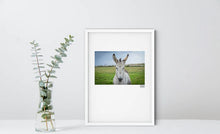 Load image into Gallery viewer, Donkey - Framed A4 Print
