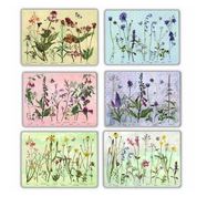 Load image into Gallery viewer, Annabel Langrish - &#39;Wildflowers&#39; 6 Placemats &amp; Giftbox Set
